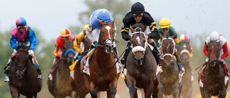 The Best Horse Racing Betting Apps For The 2021 Preakness Stakes Insight Oddschecker
