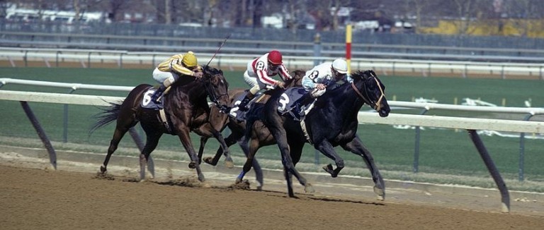 Fanduel Horse Racing App Betting On The Preakness Stakes Insight Oddschecker