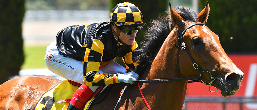 Belmont Stakes Odds Essential Quality Rombauer Top Betting Insight Oddschecker