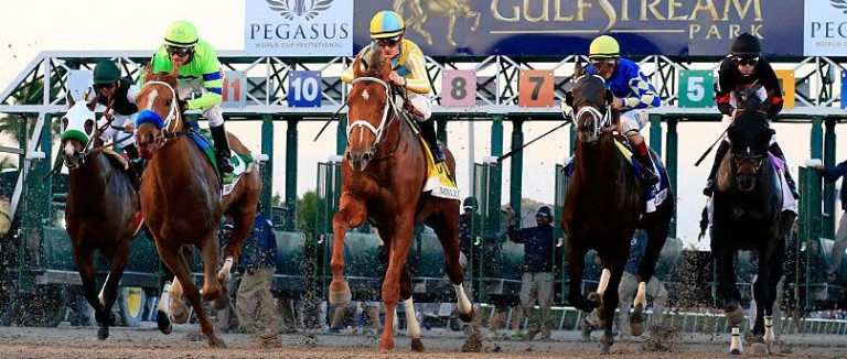 check out picks for every single race at gulfstream park today picks oddschecker