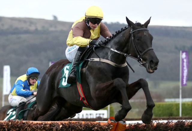 Cheltenham 2024: The five most backed for next year’s Festival | Oddschecker